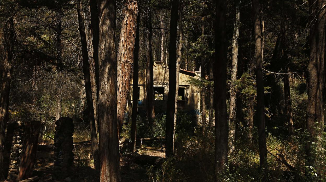 Los fans de Tolkien hallaron similitud entre el Bosque Viejo que atraviesan los hobbits al iniciar su travesía con el Bosquecillo de Pura Pura (sobre estas líneas), uno de los pulmones de La Paz, que se extiende en plena montaña en la ciudad