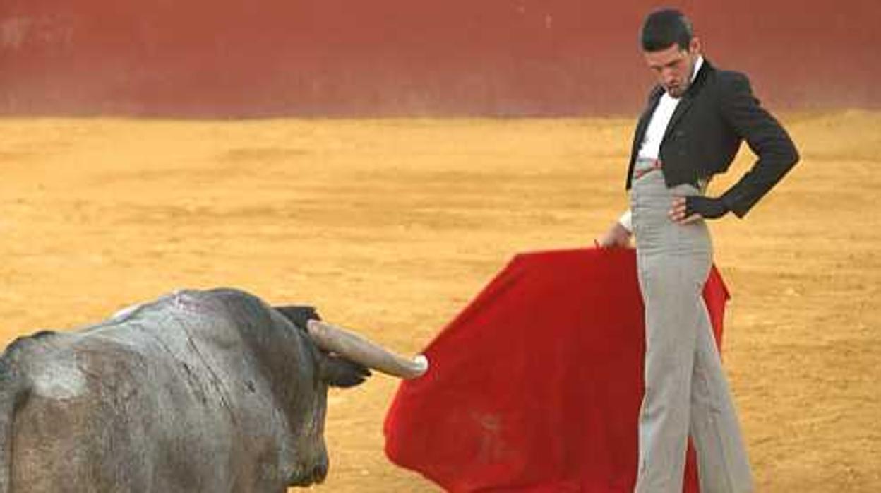 Alejandro Talavante, con un toro de Adolfo