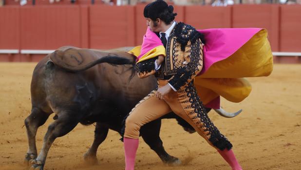 La Maestranza anhela a sus aficionados: «El toreo en Sevilla es un ¡ole!»