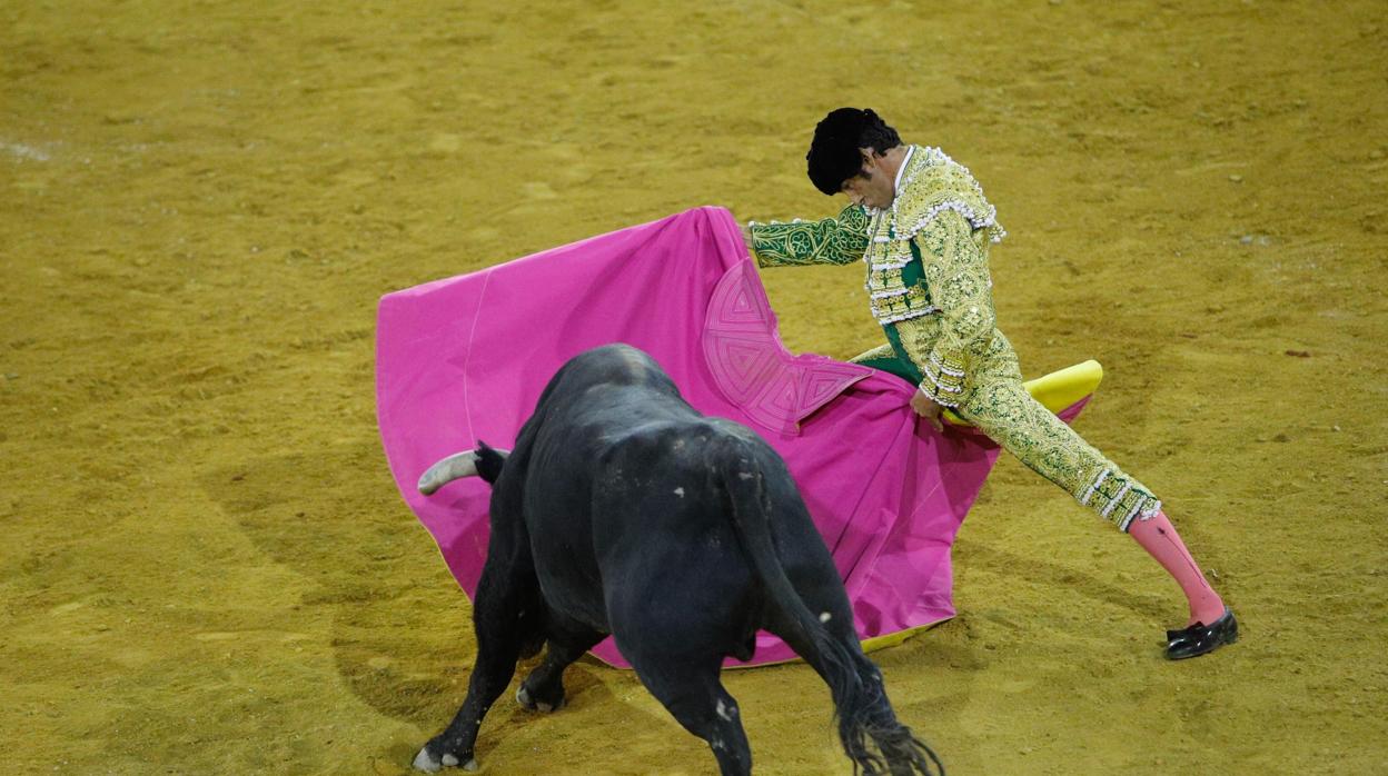 Triunfo de Daniel Luque, Emilio de Justo y Cuvillo en Jaén