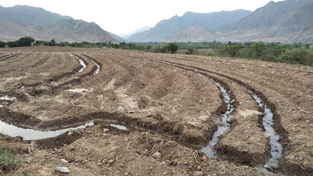 La descubridora de la ciudad más antigua de América, amenazada de muerte por traficantes de tierras