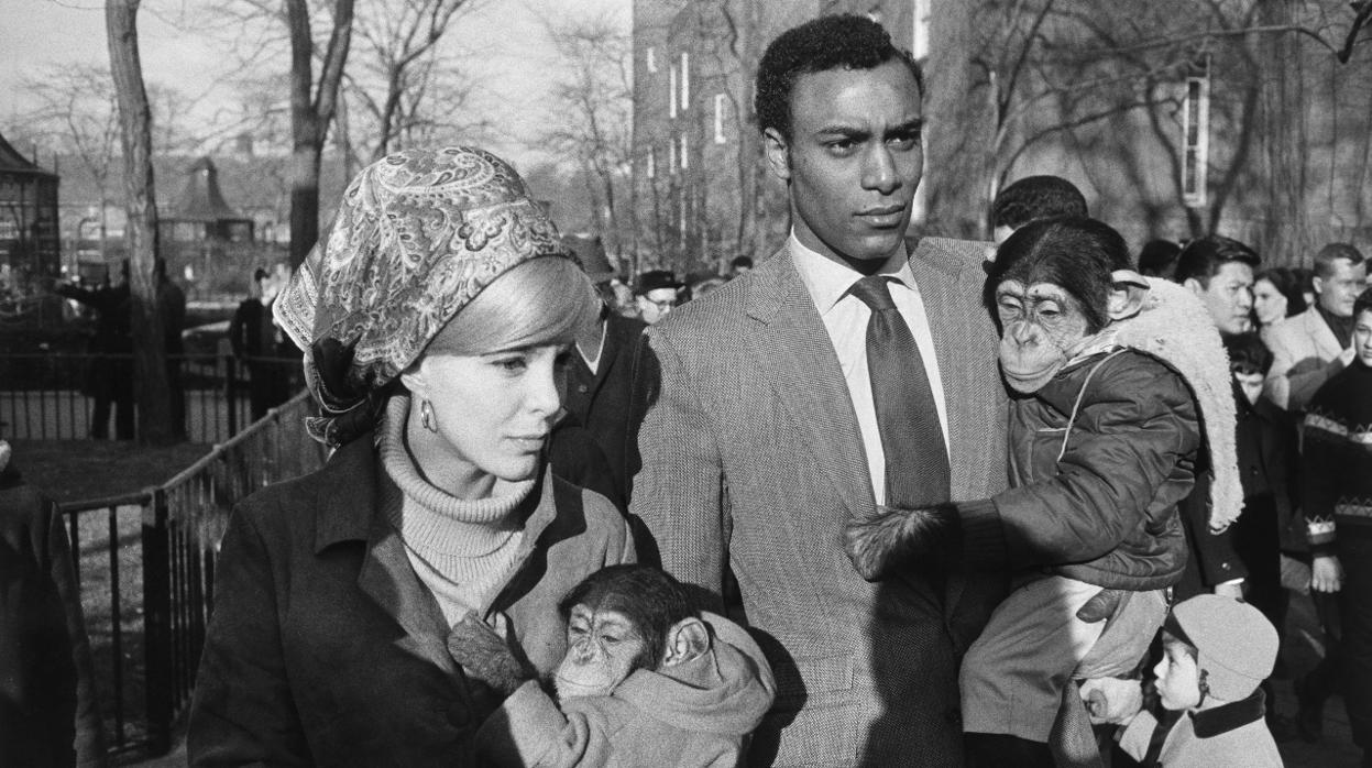 «Central Park, New York» (1964)