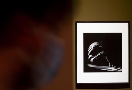 «Mujer cebra» (1942), una de las fotografías de Werner Bischof con las que se cierra la exposición