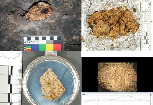 Hallan por primera vez evidencias de arte rupestre inspirado por el consumo de alucinógenos