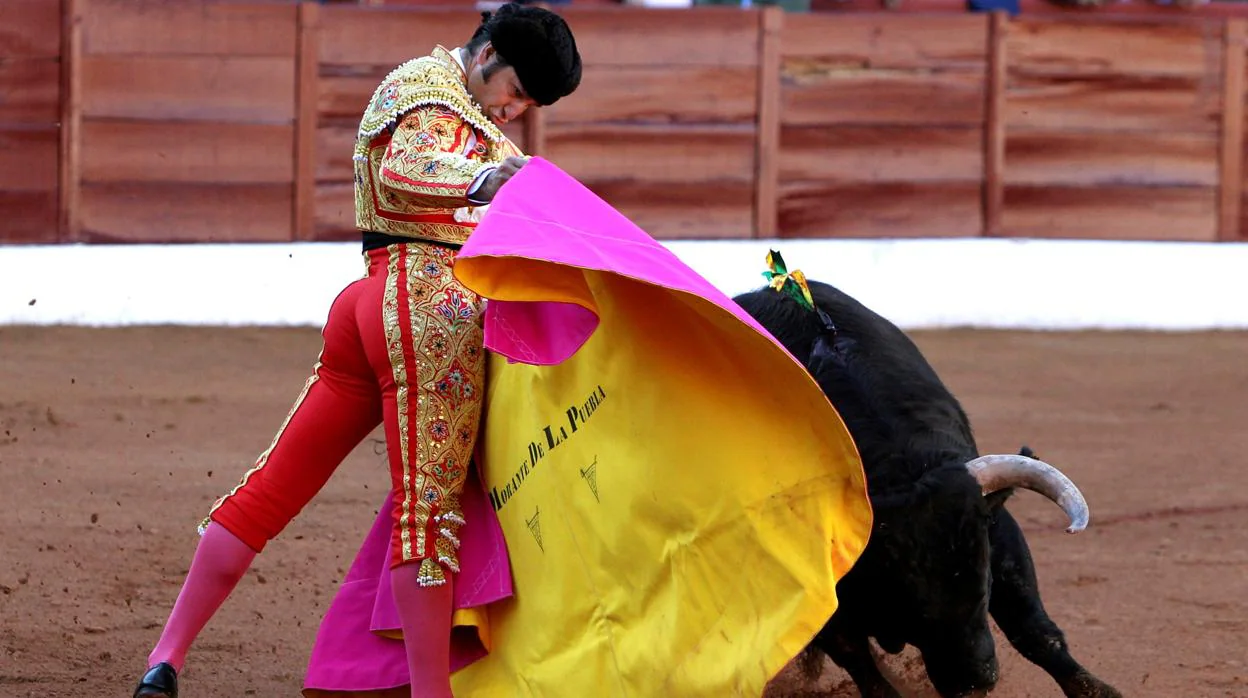 Morante de la Puebla ejecutando un lance a la verónica en la Feria del Toro de Olivenza de 2019
