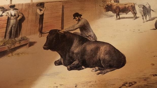 El desconcertante comportamiento de «Gitano», el toro sobre el que se sentó un aficionado de Valencia