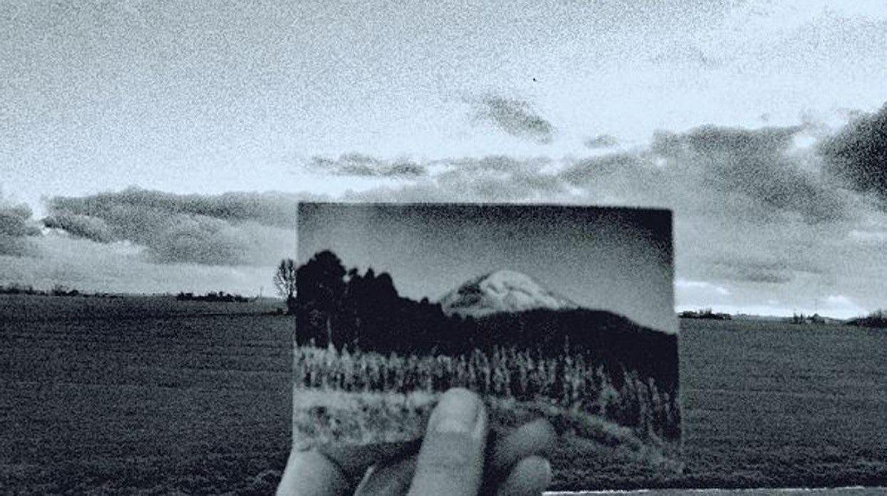 «Think Like a Mountain», vídeo de Mirjam Kroker