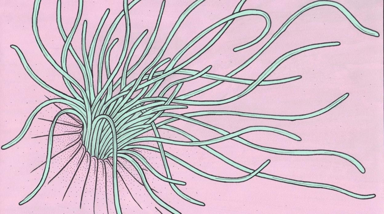 Dibujo de Eva Fábregas