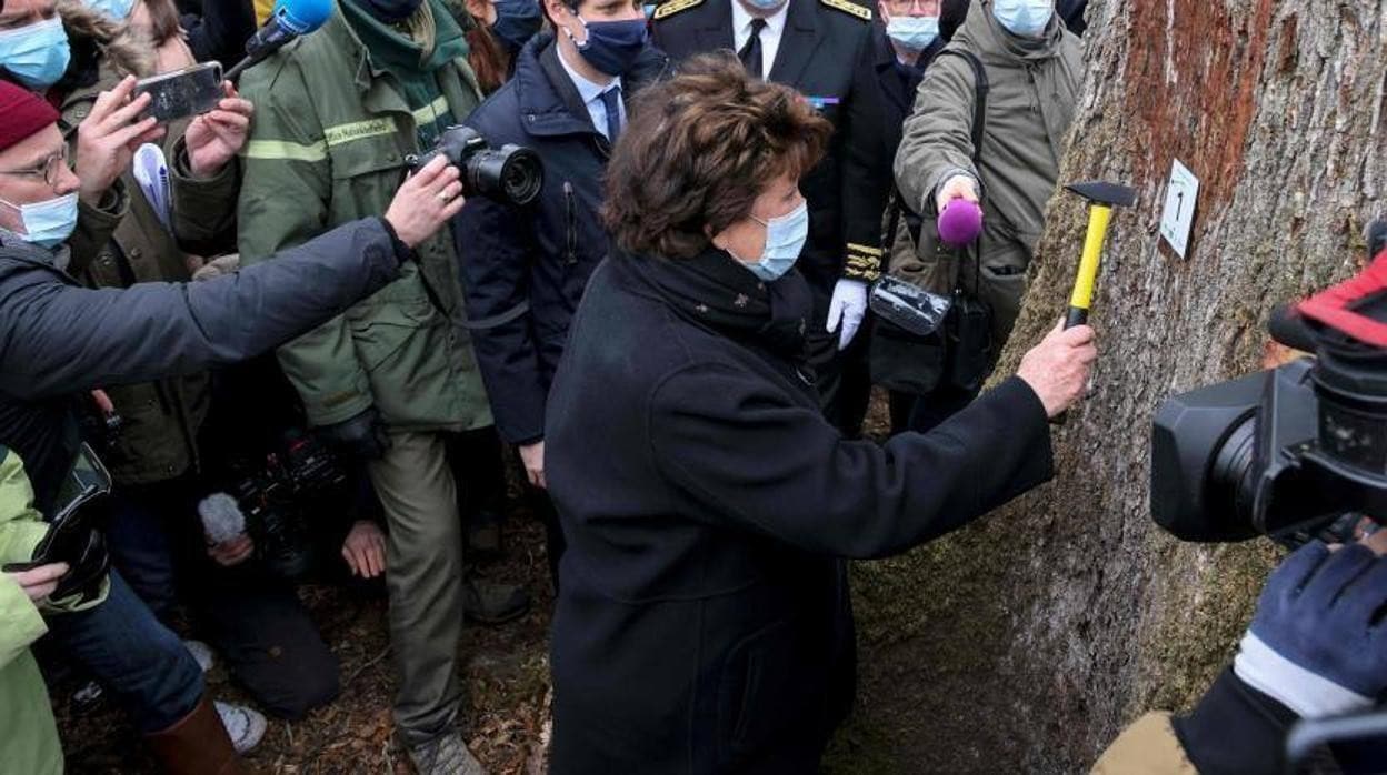 La ministra de Cultura, Roselyne Bachelot, clava una placa para señalar el primer roble que será talado para reconstruir Notre Dame