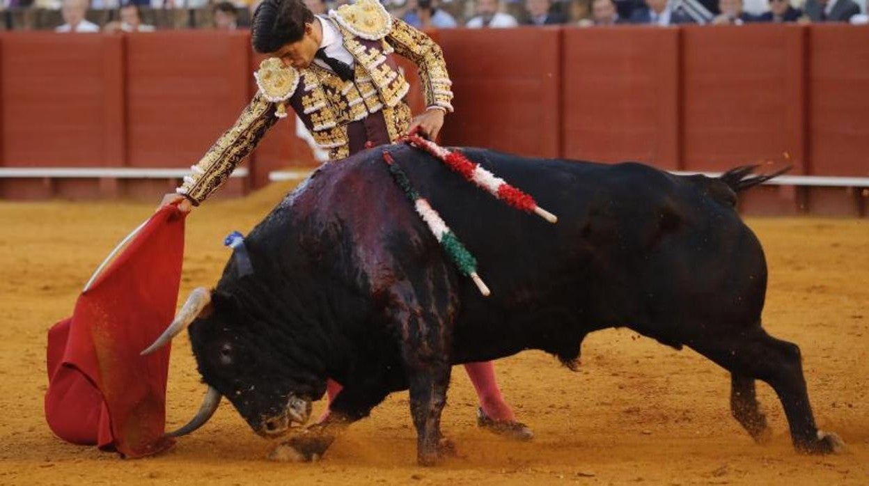 Así hemos contado en directo la corrida de Ubrique: el triunfo de la naturalidad de Pablo Aguado