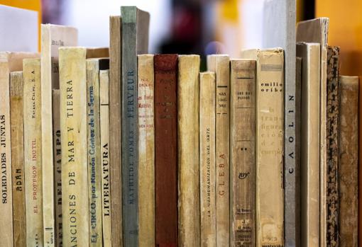 Lomos de diversos libros de la biblioteca de Pedro Salinas