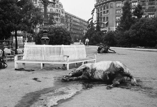 'Sin titulo (Caballos muertos). Plaza Cataluña, 19-21 de julio de 1936'