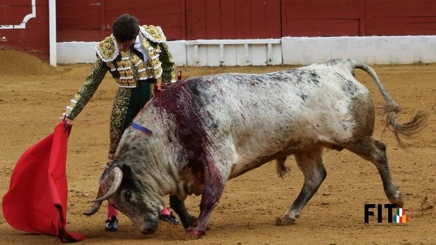 Triunfo de Robleño y Salenc con una corrida de primera en plaza de tercera