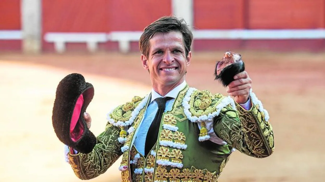 Toros dulces como las fresas maduras en Aranjuez