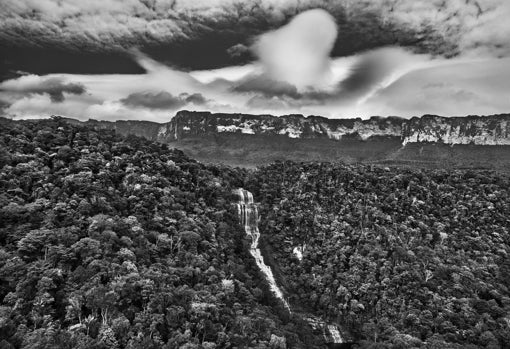 Sebastião Salgado:  «La mayor capacidad de nuestra especie es su poder de adaptación»