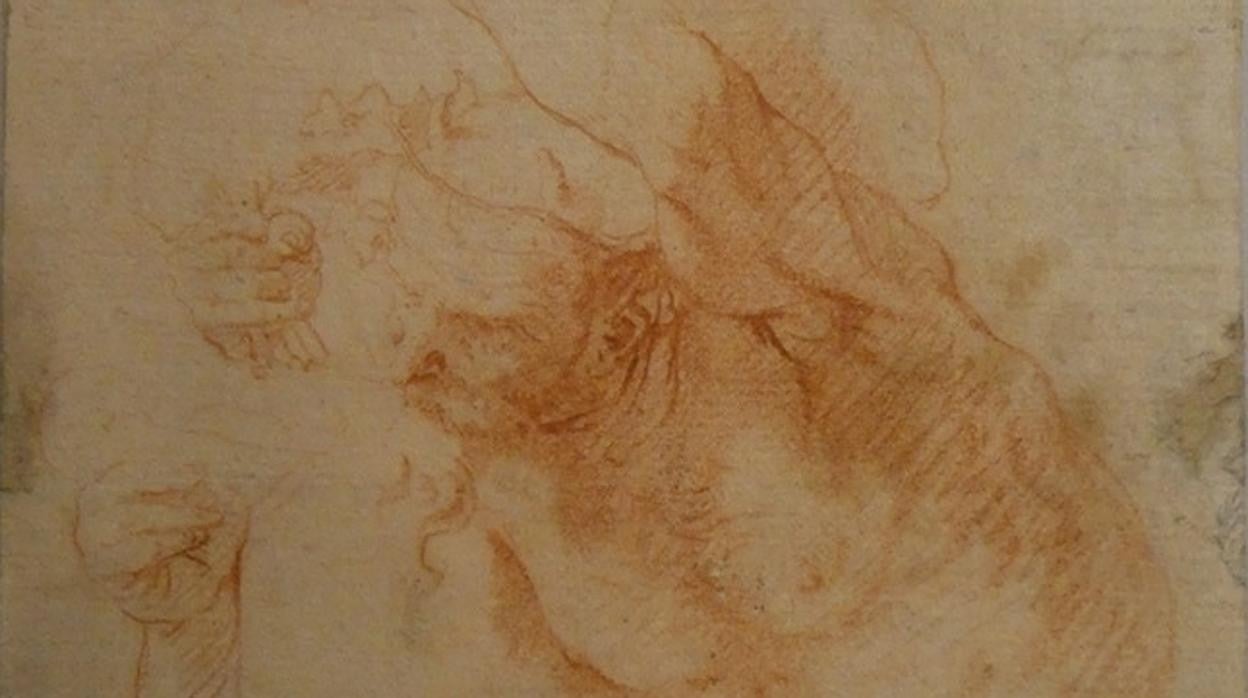 La Real Academia de San Fernando halla entre sus fondos un dibujo inédito de José de Ribera