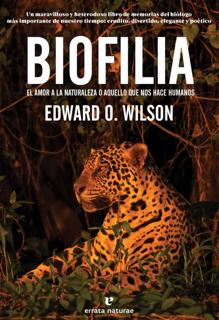 La belleza que Audubon atrapó y podemos perder