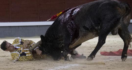 Fortes, a merced del toro
