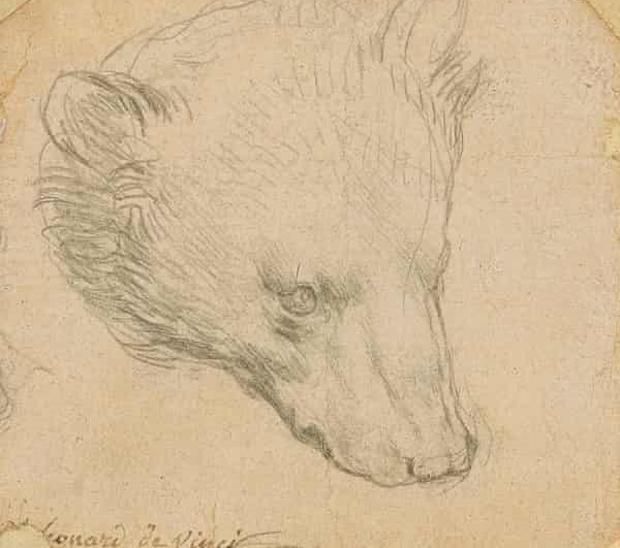 Nuevo récord para un dibujo de Leonardo: 'Cabeza de oso' es vendido por 10,3 millones de euros