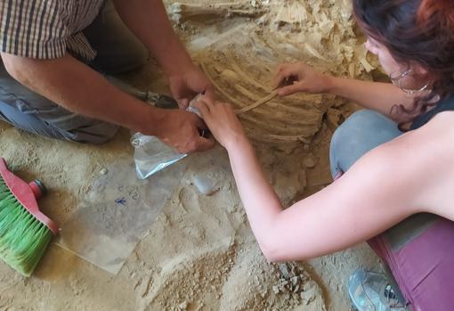 Recuperando los últimos restos del patio