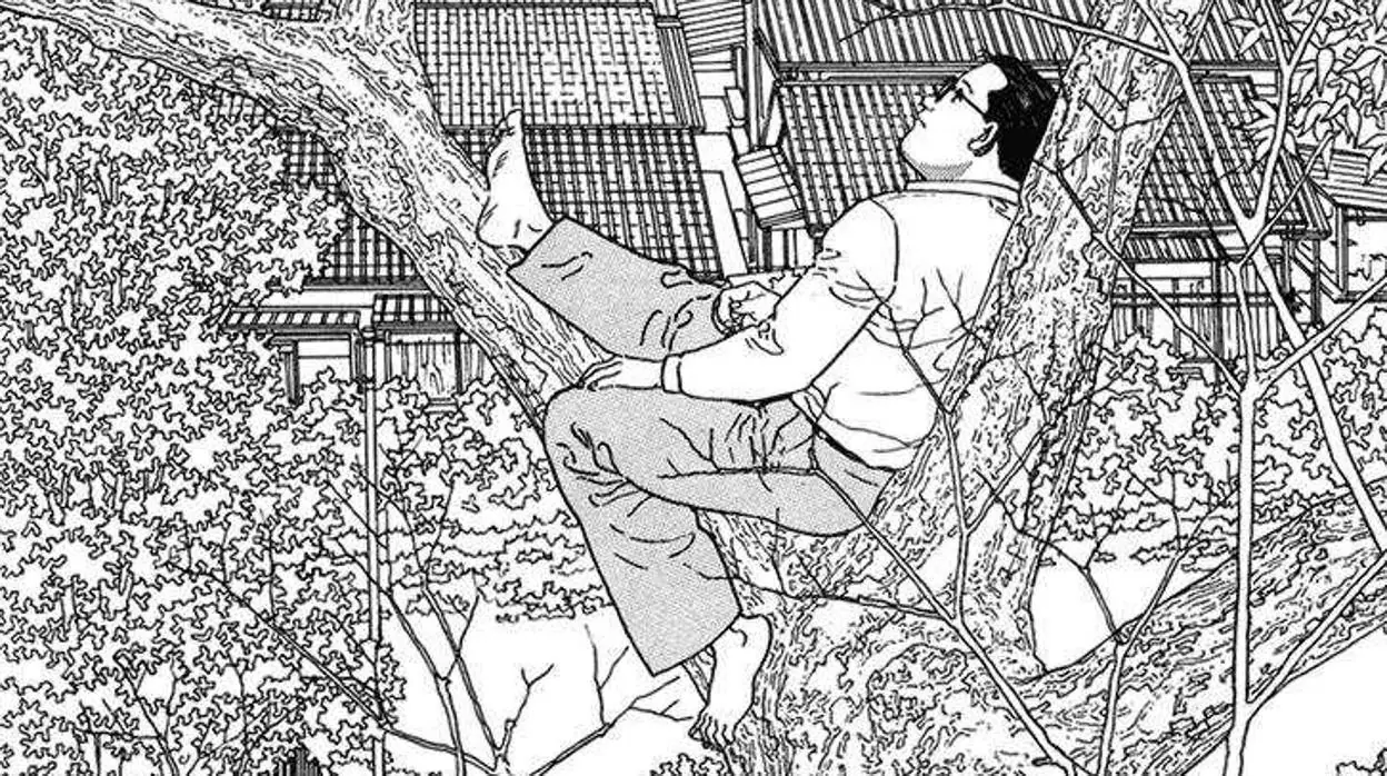 ‘El caminante’ de Jiro Taniguchi, subido en un árbol para coger perspectiva