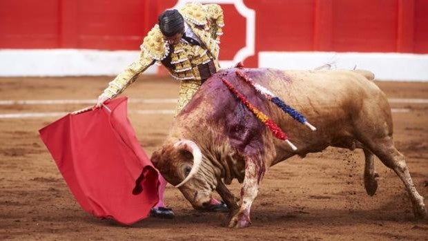 Emilio de Justo, Roca Rey y Pablo Aguado abren la feria de Palencia