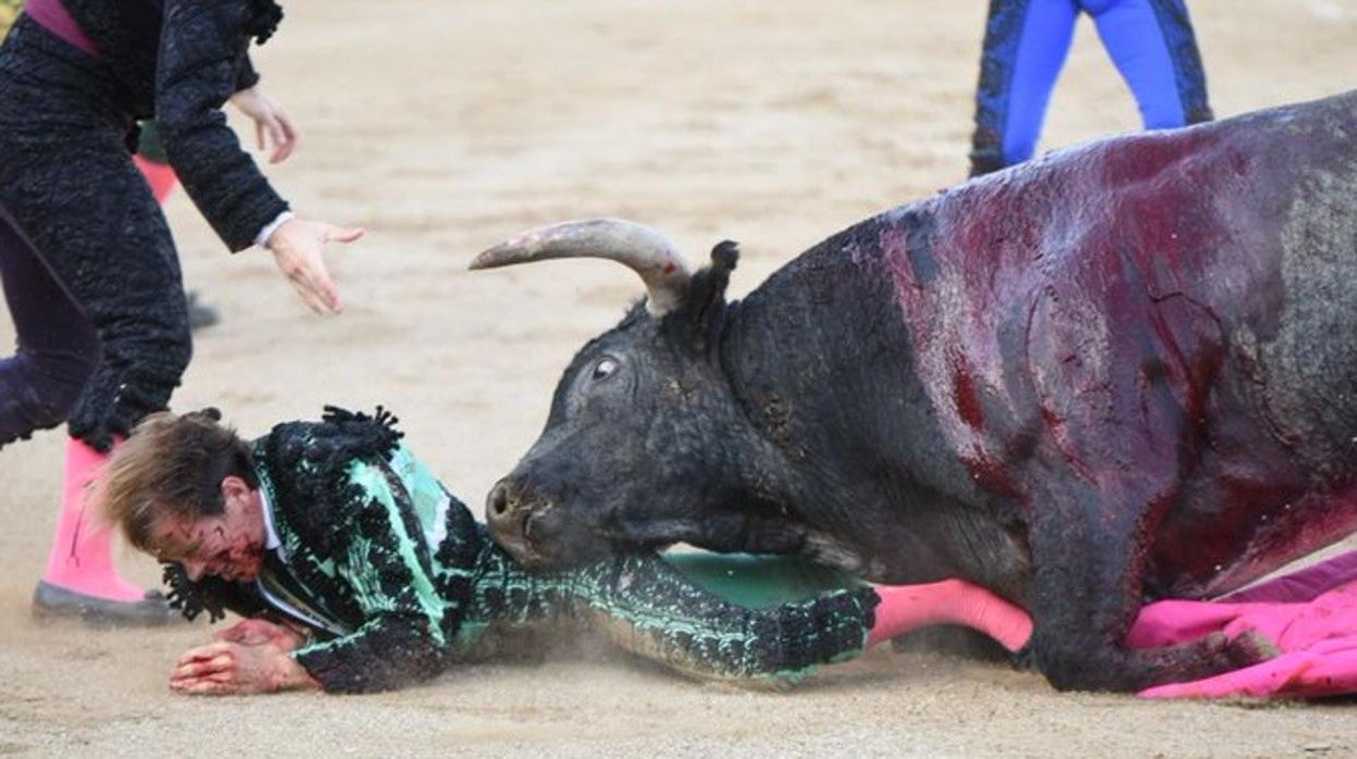 Javier Cortés, con la cara ensangrentada, a merced del toro de Ana Romero en Linares