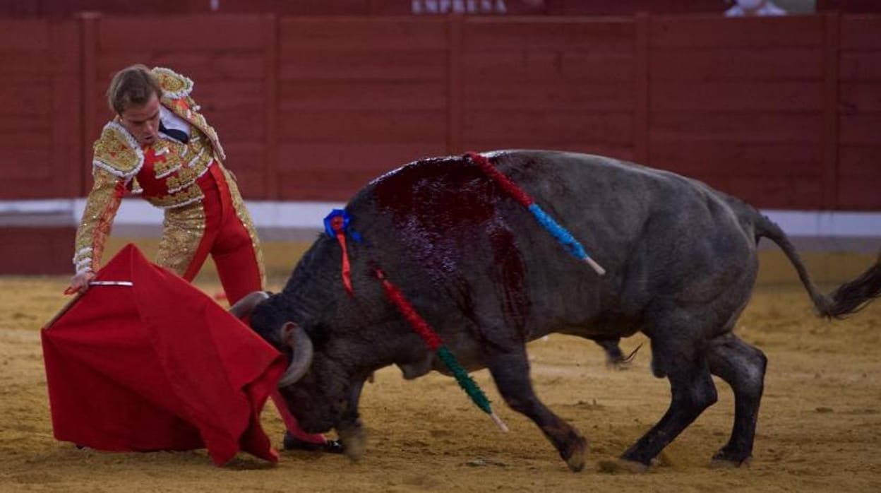 Derechazo de Javier Cortés al toro de Victorino