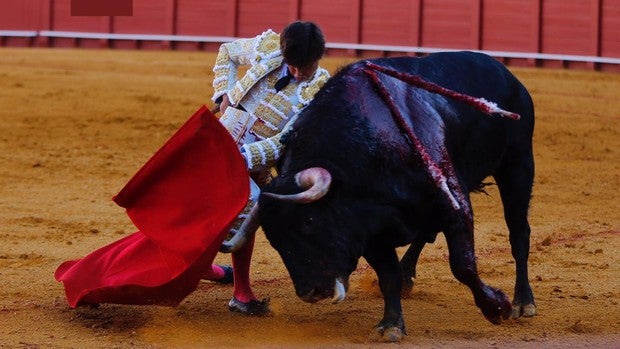 Así contamos en directo la vuelta de los toros a Sevilla