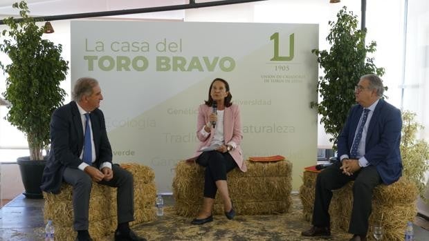 La ganadería de toros bravos, «la producción animal más costosa que existe y la más comprometida con el medio ambiente»
