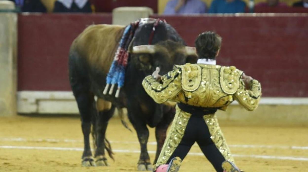 La empresa de la plaza de toros de Zaragoza tira la toalla ante el silencio de la Diputación: adiós a la Feria del Pilar