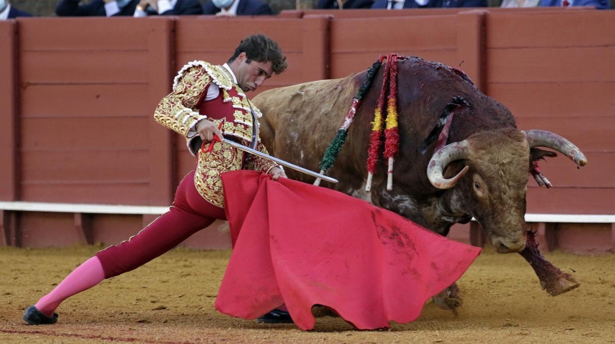 Rafael Serna, sometiendo por bajo a 'Gracioso'