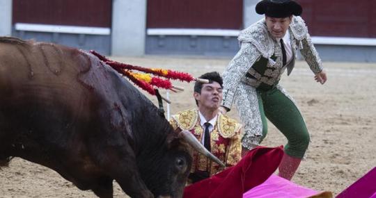 Fonseca, a merced del novillo