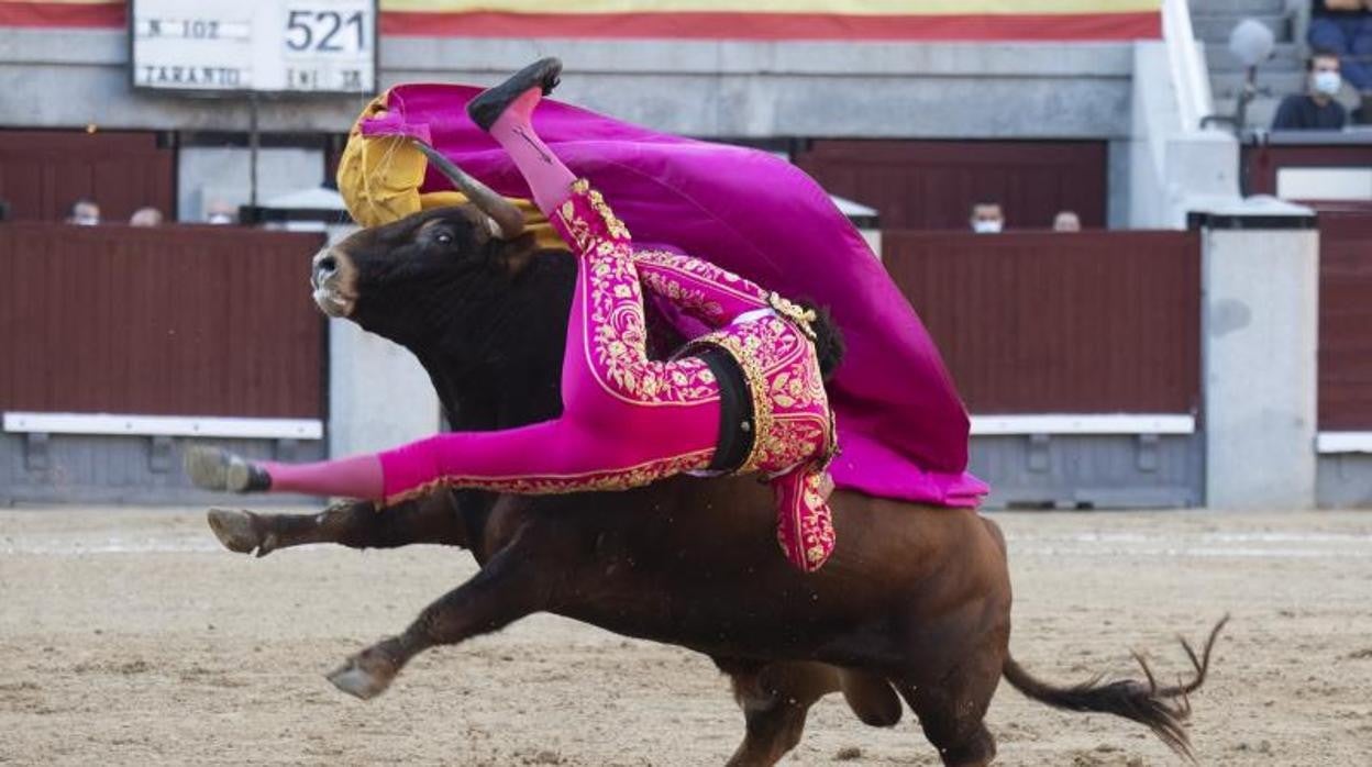 Manuel Perera, cogido por el tercer novillo