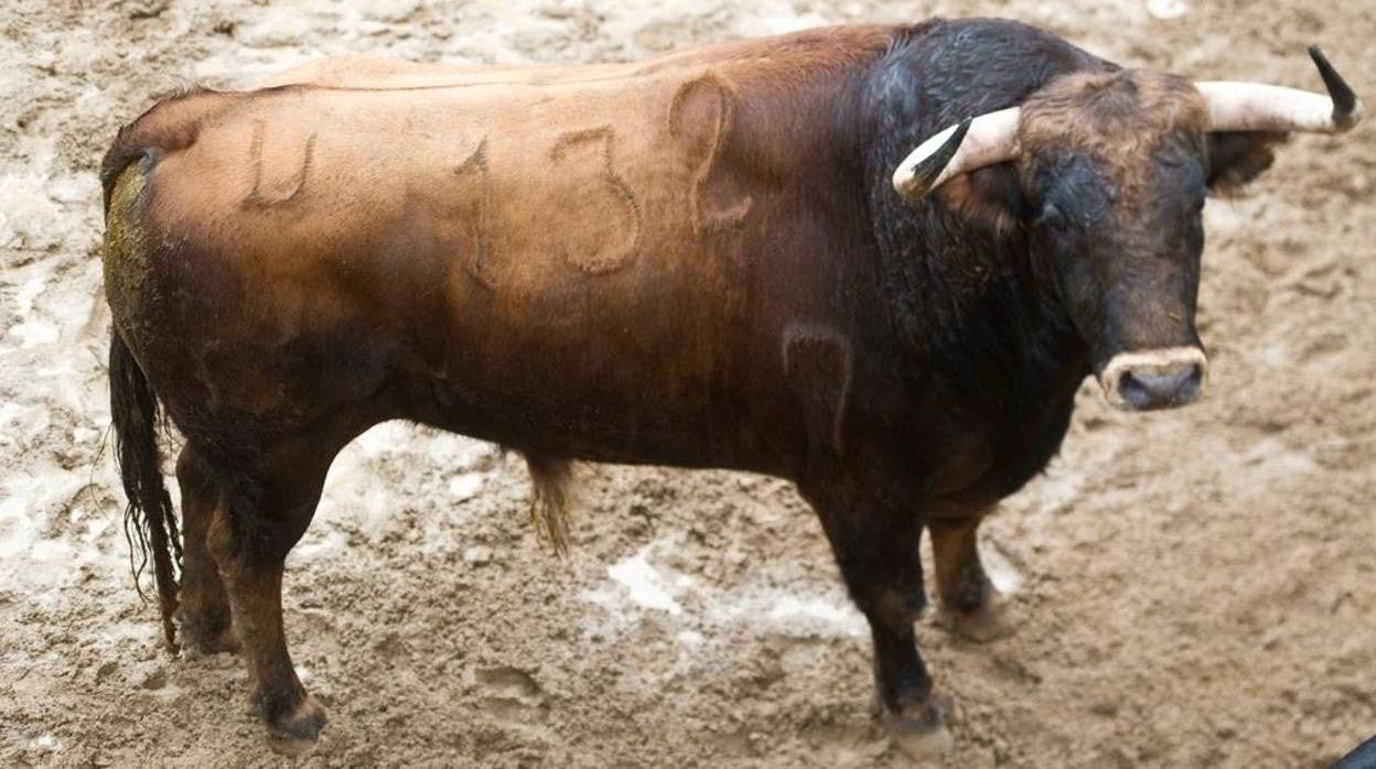 Toro número 132, que será lidiado en tercer lugar por Andrés Roca Rey