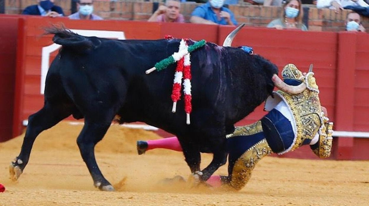 Jorge Martínez, colgado del pitón del tercer novillo