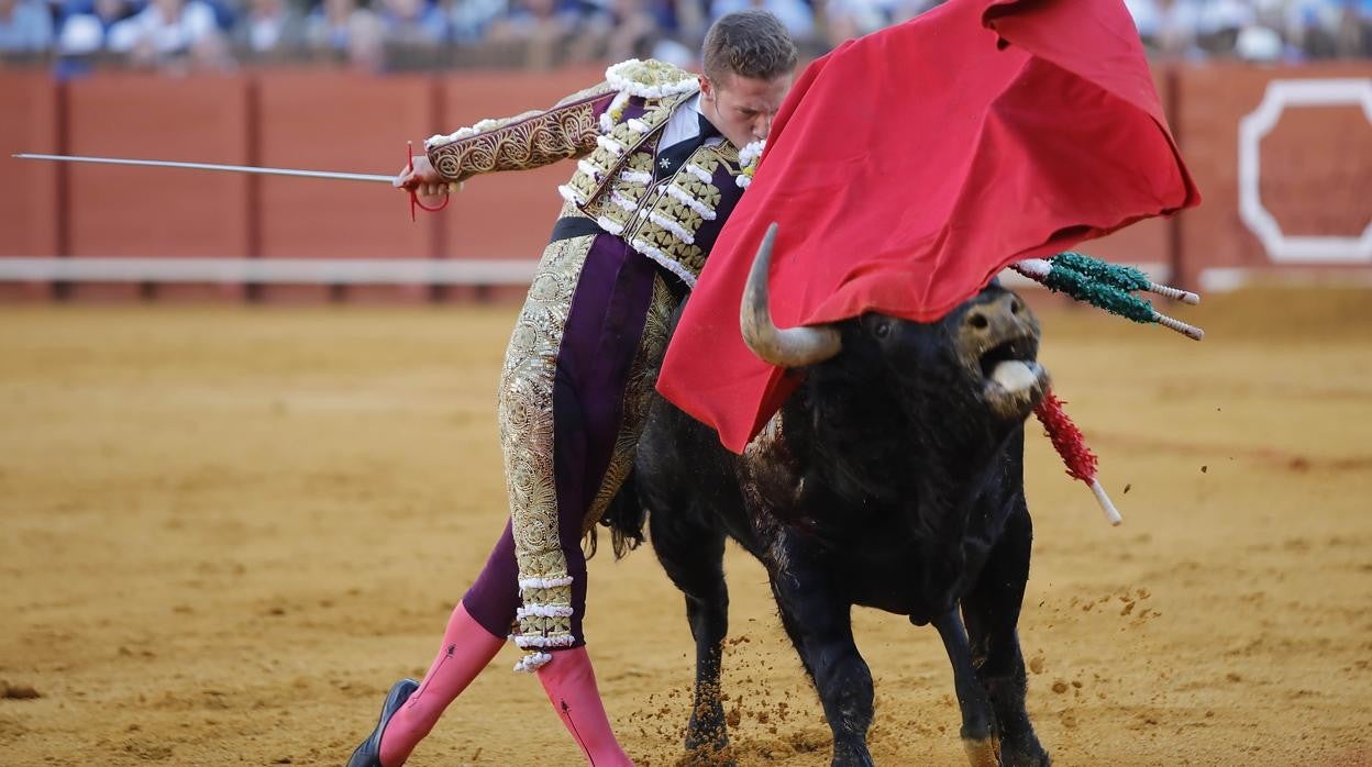 El novillero de Aznalcóllar Juan Pedro García 'Calerito'