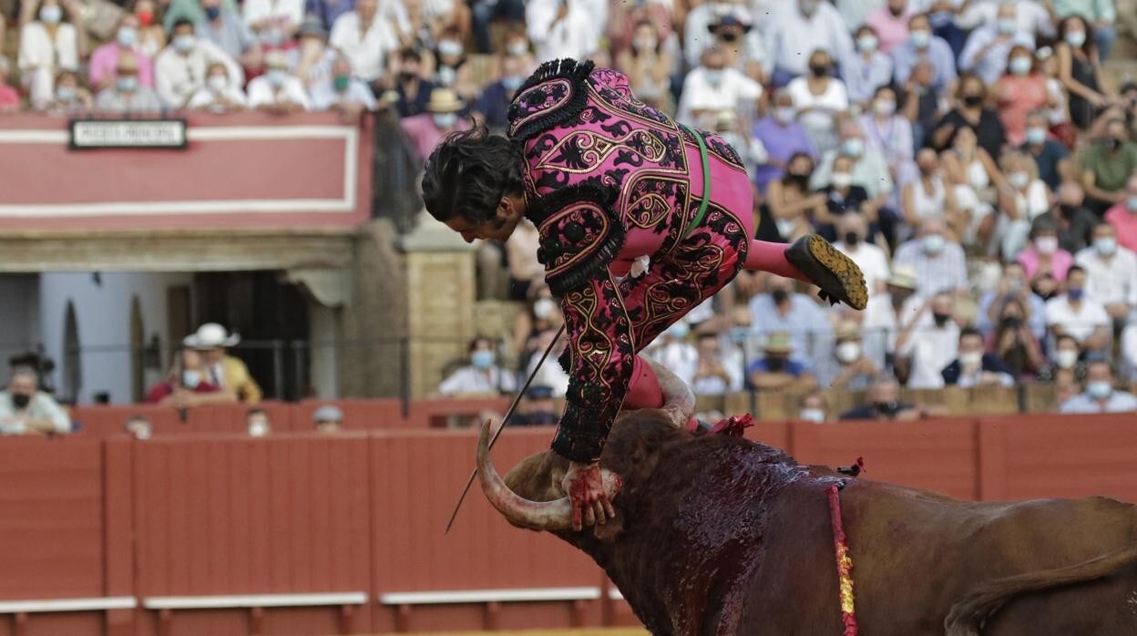 Morante de la Puebla fue volteado durante su faena