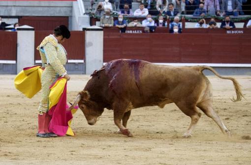 Fabulosa chicuelina de Morante