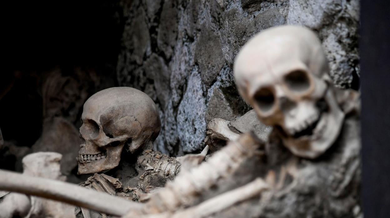 Calcos de cráneos de fugitivos que buscaron refugio mientras esperaban un posible rescate por parte de la flota de Plinio el Viejo