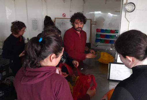 Felipe Cerezo trabajando en el Laboratorio del UCADIZ