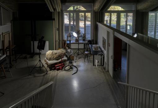 Noelia Yanguas limpia el verraco rescatado del embalse de Valdecañas