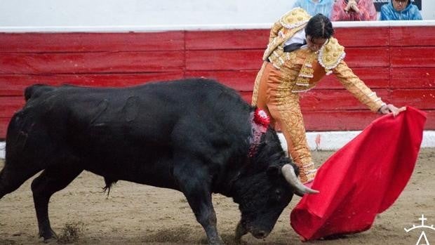 Morante enamora con su naturalidad descalza y Perera indulta a 'Heredero' en Latacunga