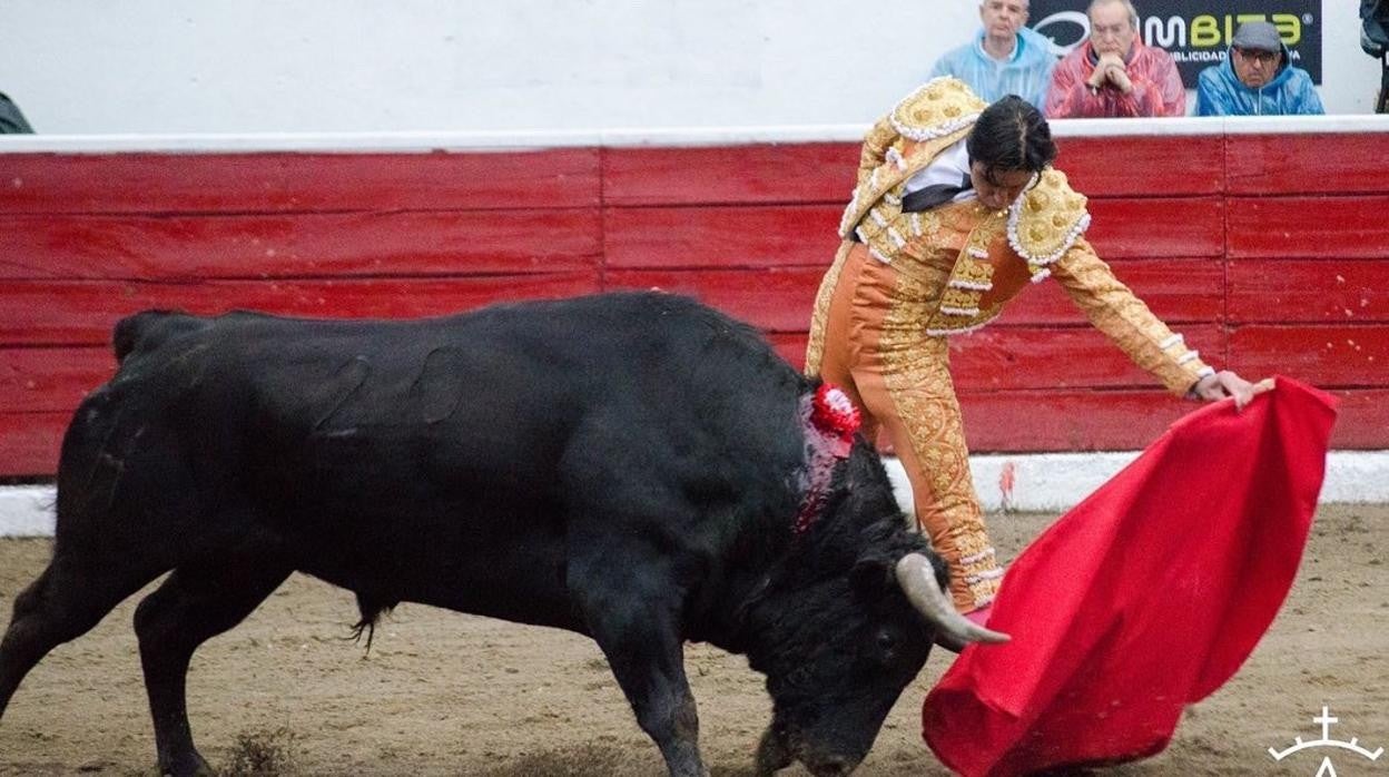 Miguel Ángel Perera, con el toro que indultó