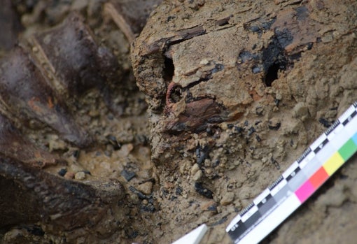 Desvelan la tragedia vivida por el último fugitivo de la erupción del Vesubio