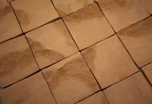 Instalación de Clara Sánchez Salas para ATM