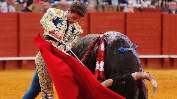 La corrida de Sevilla, en directo | Chismoso y la alegría de embestir