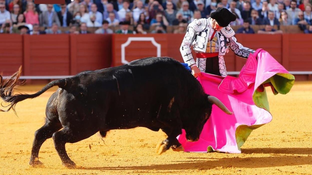 Morante de la Puebla, a la verónica con el primer toro de la tarde