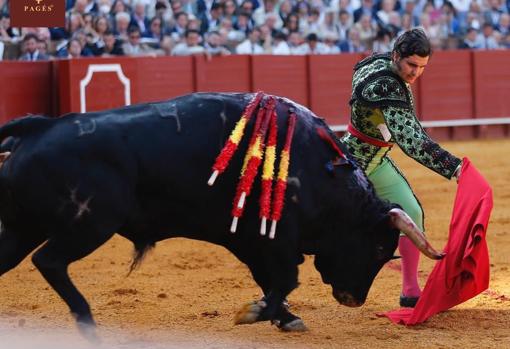 Sigue la corrida de Torrestrella, en directo: Morante de la Puebla y &#039;El Juli&#039; dan la alternativa a Manuel Perera