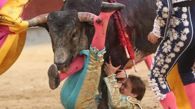 Cornada a Arturo Gilio en una encastada novillada de Los Maños